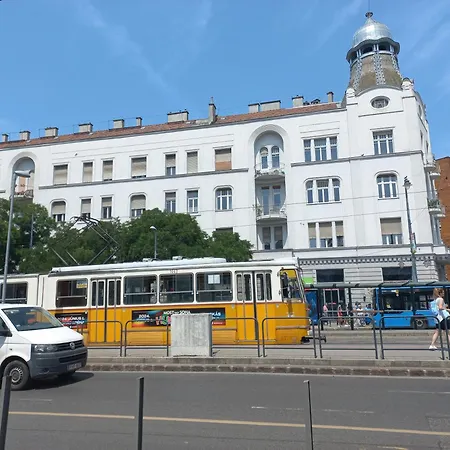 Gecko * Budapest